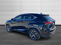 2020 Lexus NX 300 F Sport