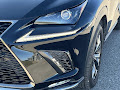 2020 Lexus NX 300 F Sport